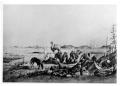 Photograph: [Typical US Army Camel Corps camp]