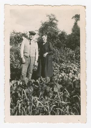 [Monsieur and Madame Forrestre in a Garden]