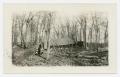 Photograph: [Soldiers Kneeling in Forest]