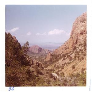 [Mountains and shrubbery at Big Bend National Park]