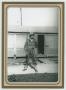 Thumbnail image of item number 1 in: '[Charles Thomas Standing Outside of Hutment]'.