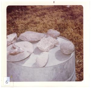 Primary view of object titled '[Big Bend fossils and stones]'.