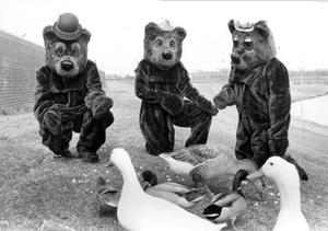 Primary view of object titled '[Mascots and ducks North Lake Bears]'.