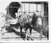 Photograph: [Mule hitched to covered buggy]
