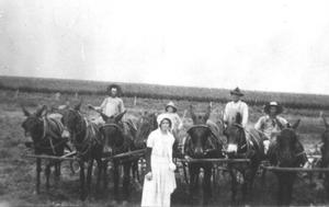 [Nizer family with horses in field]