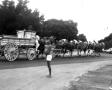 Photograph: [Team of horses pulling Wagon]