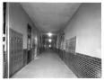 Photograph: Wellington High School corridor, second floor