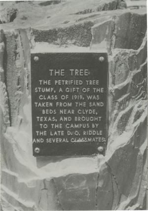 [Photograph of "The Tree" Plaque]