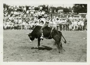 Primary view of object titled '[Photograph of Bull Riding]'.