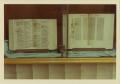 Thumbnail image of item number 1 in: '[Photograph of Books on Display]'.