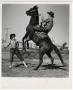 Photograph: [Photograph of Bucking Horse]
