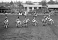 Photograph: [Photograph of Six White Horses at Rodeo]