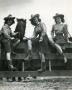 Primary view of [Photograph of Cowgirls with Horse]
