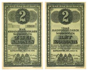 Primary view of object titled '[Voucher from Hungary/Germany in the denomination of 2 kronen/korona/crown]'.