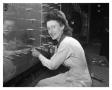 Photograph: Virginia Foster, Riveter at Consolidated Aircraft Corporation
