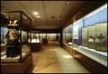Collection: The Shogun Age [Exhibition Photographs]