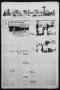 Thumbnail image of item number 1 in: 'The Albany News (Albany, Tex.), Vol. 90, No. 41, Ed. 1 Thursday, June 6, 1974'.