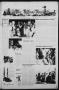 Primary view of The Albany News (Albany, Tex.), Vol. 99, No. 26, Ed. 1 Tuesday, December 24, 1974