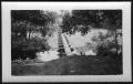 Photograph: [A pipe across a small watercourse.]