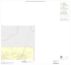 Primary view of object titled '2000 Census County Subdivison Block Map: Marion East CCD, Texas, Inset A02'.