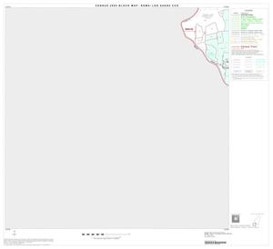 2000 Census County Subdivison Block Map: Roma-Los Saenz CCD, Texas, Block 9
