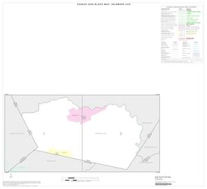 Primary view of object titled '2000 Census County Subdivison Block Map: Skidmore CCD, Texas, Index'.
