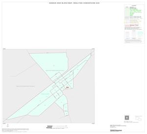2000 Census County Subdivison Block Map: Realitos-Concepcion CCD, Texas, Inset A01