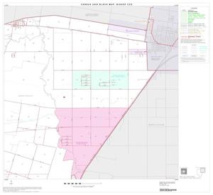 2000 Census County Subdivison Block Map: Bishop CCD, Texas, Block 2