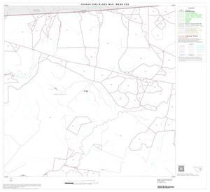 2000 Census County Subdivison Block Map: Webb CCD, Texas, Block 12