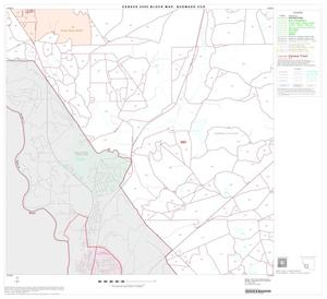 2000 Census County Subdivison Block Map: Quemado CCD, Texas, Block 10