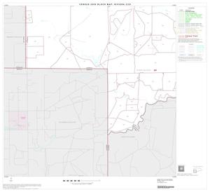 2000 Census County Subdivison Block Map: Riviera CCD, Texas, Block 4