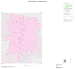 2000 Census County Subdivison Block Map: Pineland CCD, Texas, Inset B01