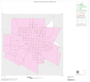 2000 Census County Subdivison Block Map: Bronte CCD, Texas, Inset A01