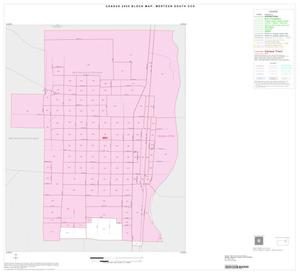 2000 Census County Subdivison Block Map: Mertzon South CCD, Texas, Inset A01