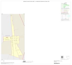 Primary view of object titled '2000 Census County Subdivison Block Map: Livingston-New Willard CCD, Texas, Inset C01'.