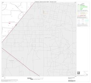 2000 Census County Subdivison Block Map: Pecos CCD, Texas, Block 13