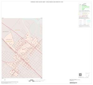 2000 Census County Subdivison Block Map: Harlingen-San Benito CCD, Texas, Inset J01