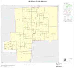 2000 Census County Subdivison Block Map: Premont CCD, Texas, Inset A01