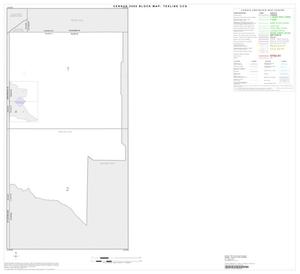 Primary view of object titled '2000 Census County Subdivison Block Map: Texline CCD, Texas, Index'.