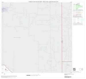 2000 Census County Subdivison Block Map: Realitos-Concepcion CCD, Texas, Block 3