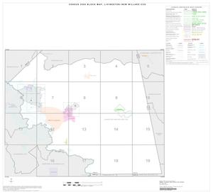2000 Census County Subdivison Block Map: Livingston-New Willard CCD, Texas, Index