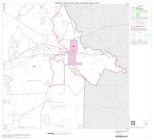 2000 Census County Subdivison Block Map: Menard West CCD, Texas, Block 4