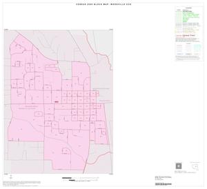 Primary view of object titled '2000 Census County Subdivison Block Map: Woodville CCD, Texas, Inset A01'.