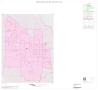 Thumbnail image of item number 1 in: '2000 Census County Subdivison Block Map: Woodville CCD, Texas, Inset A01'.