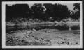 Photograph: [A Texas river. Location unknown.]