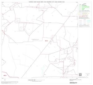 2000 Census County Subdivison Block Map: Rio Grande City-San Isidro CCD, Texas, Block 8