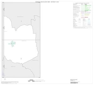 2000 Census County Subdivison Block Map: Detroit CCD, Texas, Index