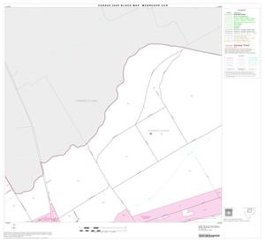 2000 Census County Subdivison Block Map: McGregor CCD, Texas, Block 2