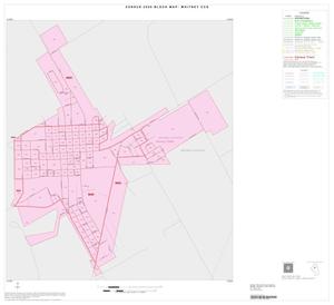2000 Census County Subdivison Block Map: Whitney CCD, Texas, Inset B01