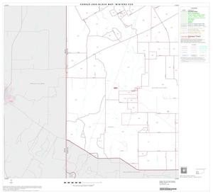 2000 Census County Subdivison Block Map: Winters CCD, Texas, Block 5